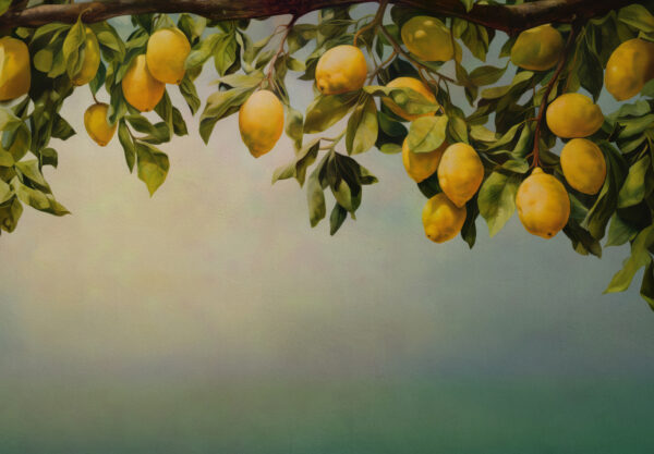 Een schilderij van citroenen op een boomtak Een schilderij van citroenen op een boomtak