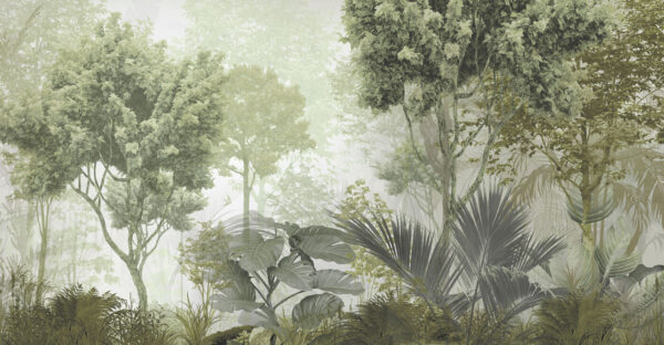 Een groep bomen en planten in een mistig bos Een groep bomen en planten in een mistig bos
