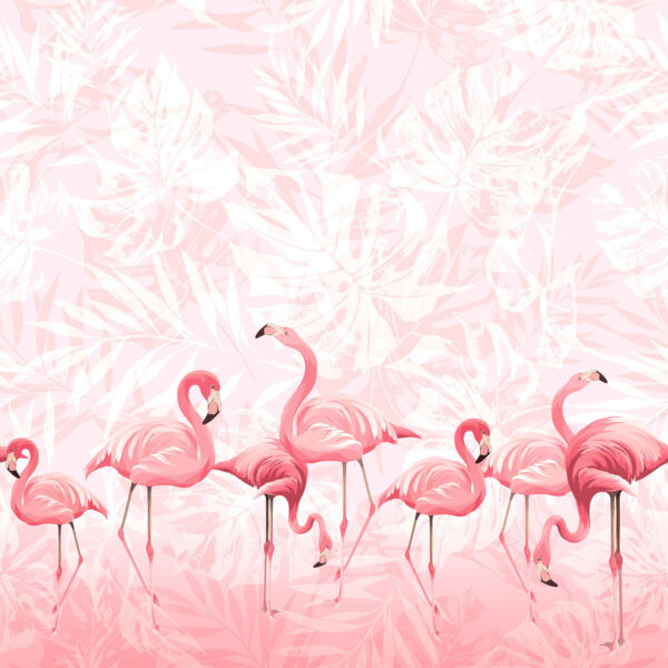 Een groep roze flamingo's Een groep roze flamingo's