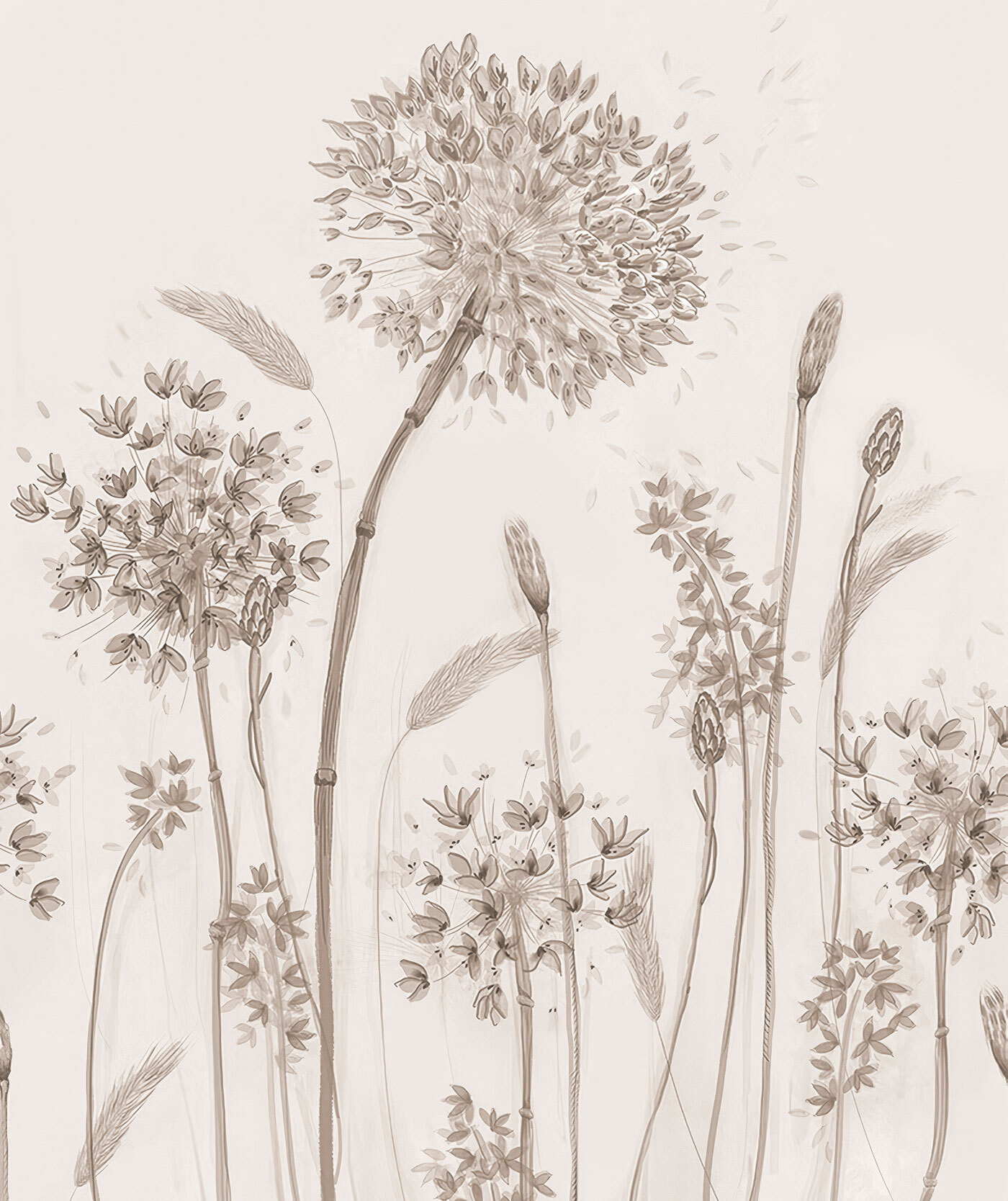 Drawing of a flower Drawing of a flower