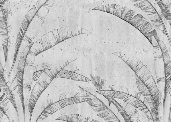 Tekening van een blad Tekening van een blad