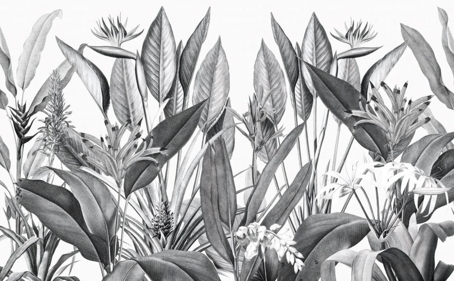 Tropisch gebladerte in monochrome tinten. Tropisch gebladerte in monochrome tinten.