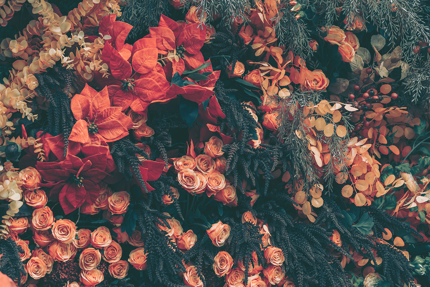 Group of flowers and leaves Group of flowers and leaves
