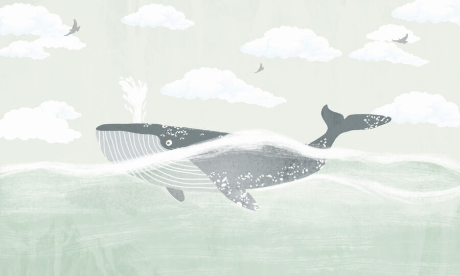 Walvis zwemmend in het water