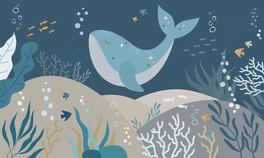 Walvis zwemmend onder water