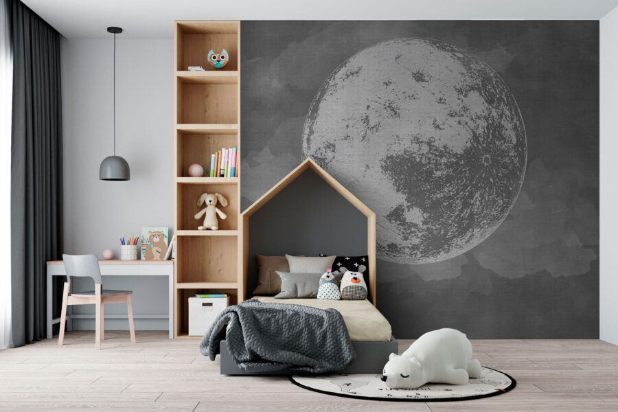 Volle maan aan de hemel