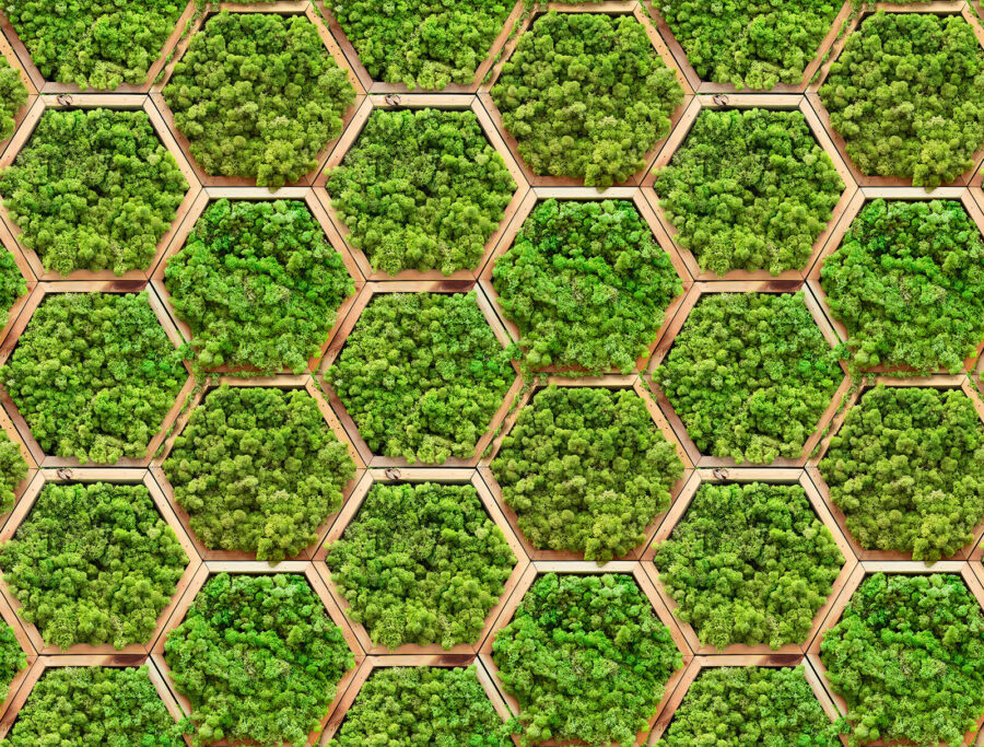 Muur van planten in zeshoeken