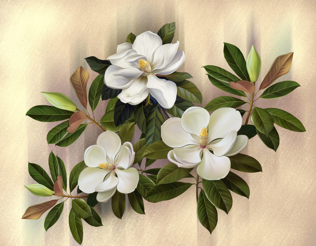 Prachtige magnolia bloemen Prachtige magnolia bloemen