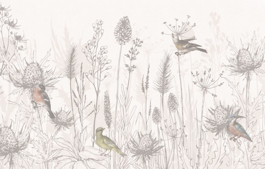 Tekenen van vogels en planten