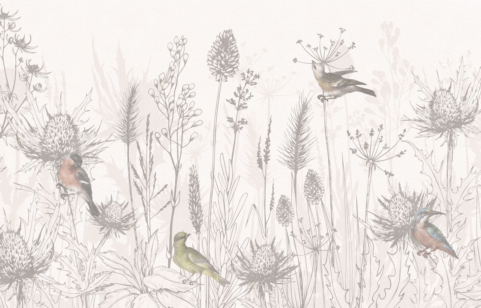 Drawing of birds and plants Drawing of birds and plants