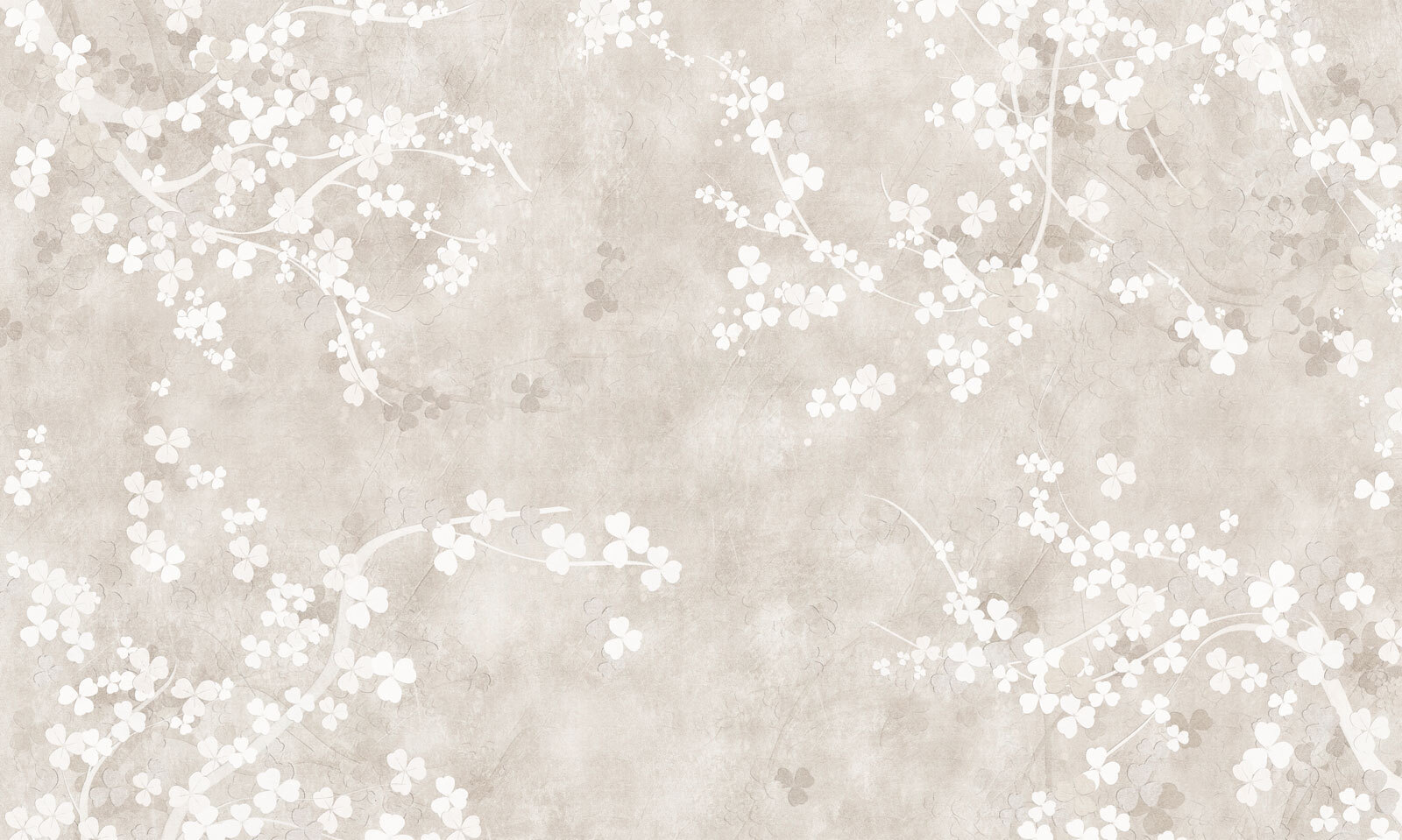 White flowers on a beige background White flowers on a beige background