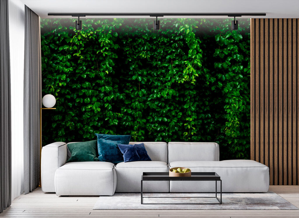 Wall of green leaves Wall of green leaves