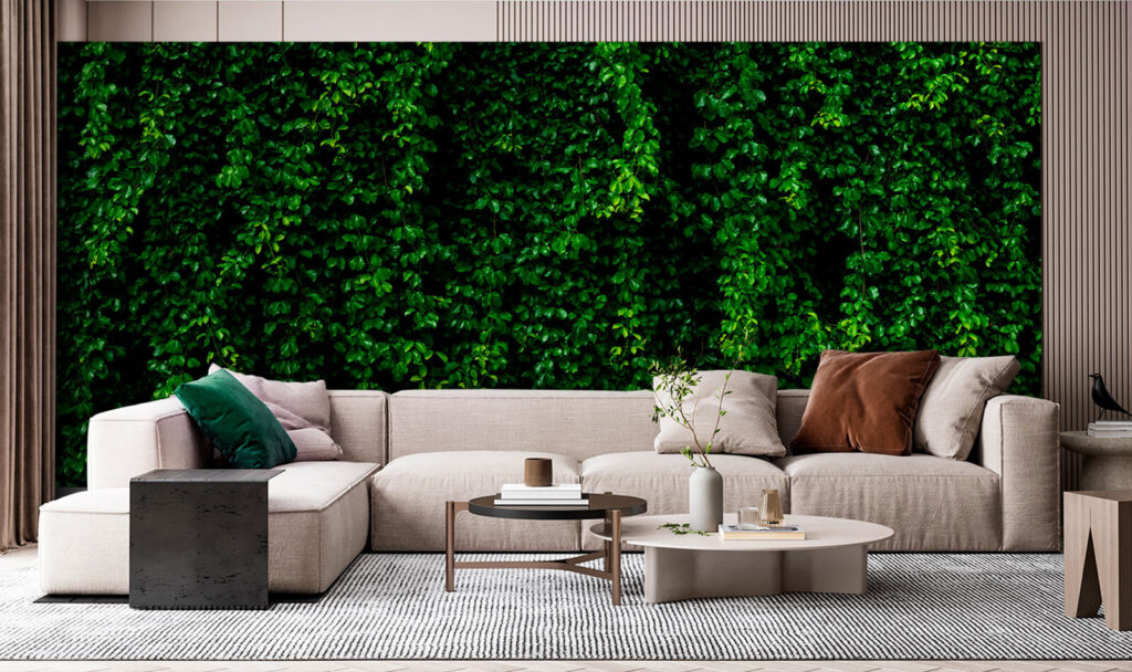 Wall of green leaves Wall of green leaves