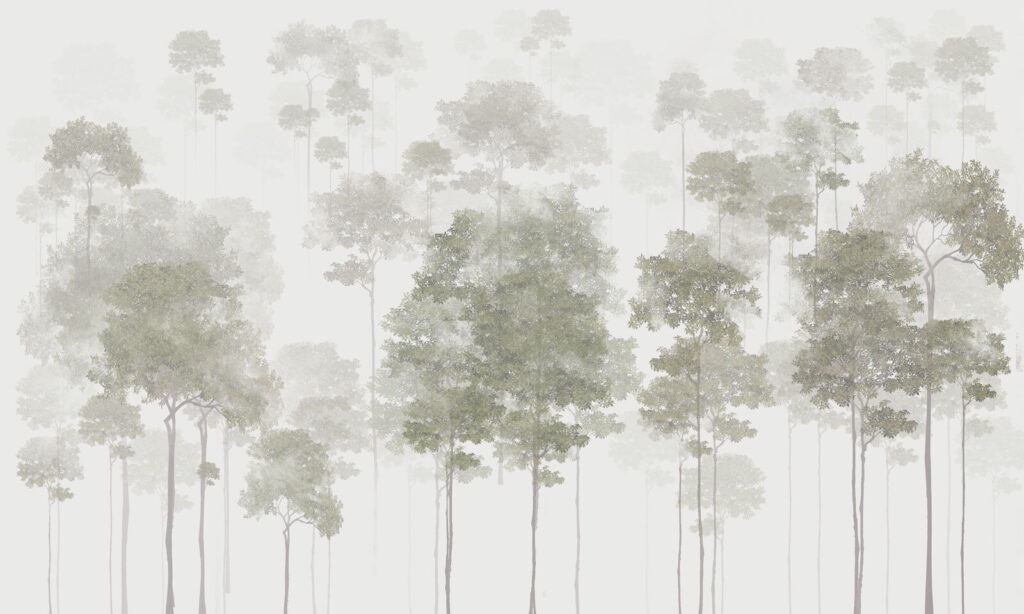 Groep bomen in mist Groep bomen in mist