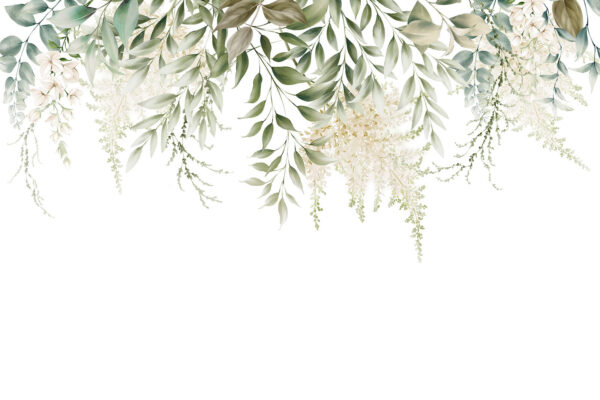 Delicaat groen op een witte achtergrond. Delicaat groen op een witte achtergrond.