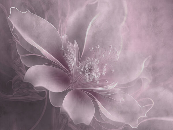 Delicate bloem in zachte pasteltinten. Delicate bloem in zachte pasteltinten.