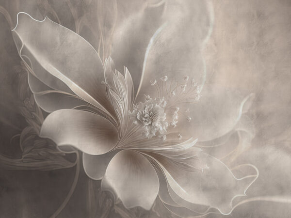 Witte bloem met een bloem erop Witte bloem met een bloem erop