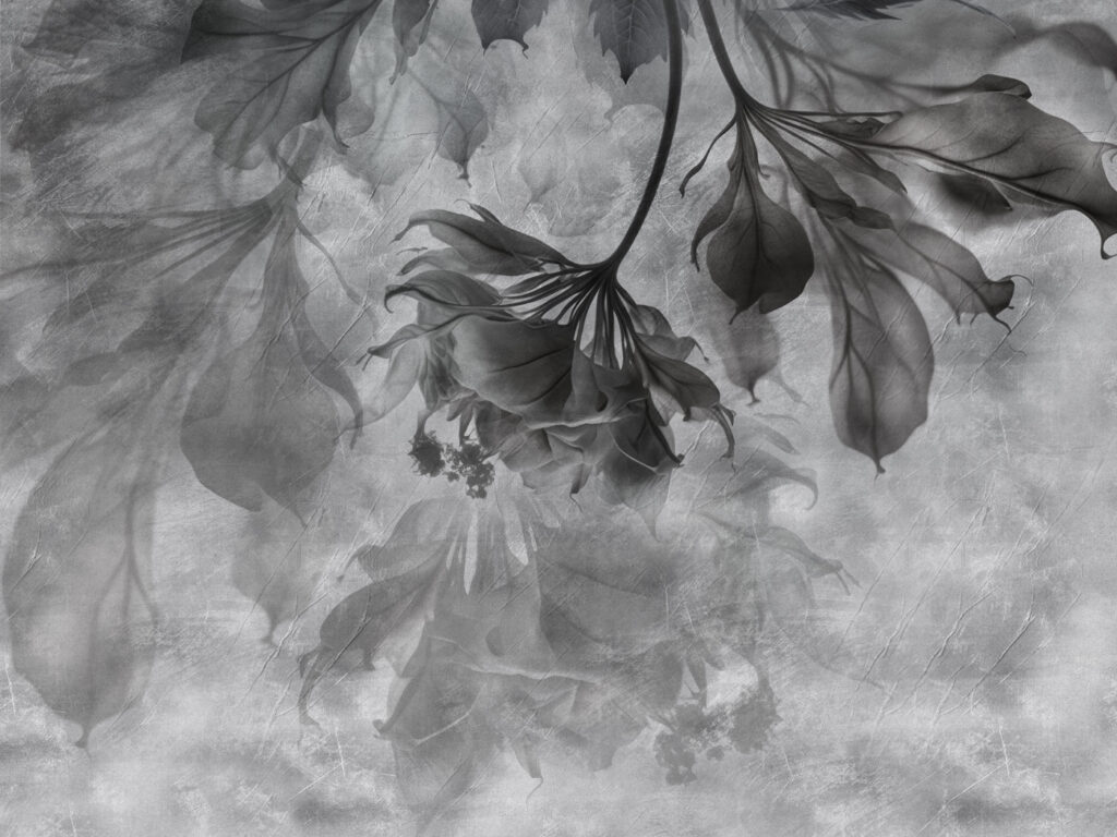 Elegant leaves in soft monochrome hues