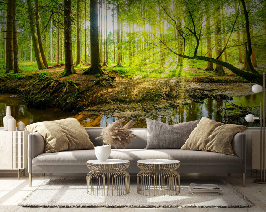 Beek in een bos