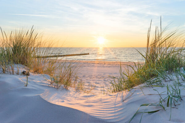Strand met gras en water Strand met gras en water