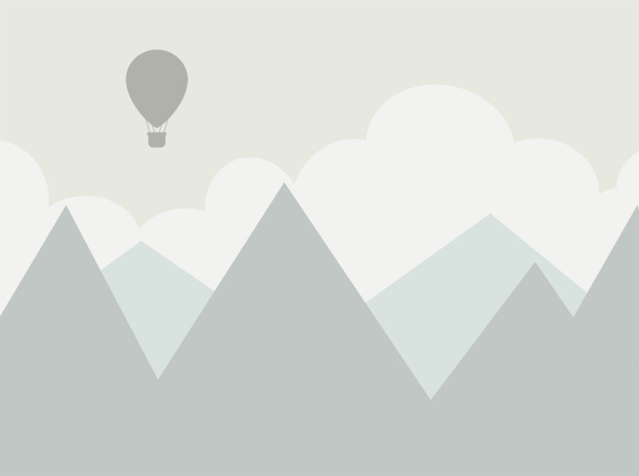 Luchtballon in de lucht
