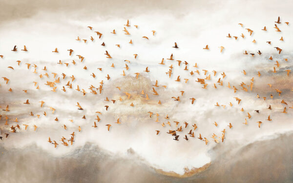 Een zwerm vogels vliegt in de lucht u93537p 600x375 - Een zwerm vogels vliegt in de lucht
