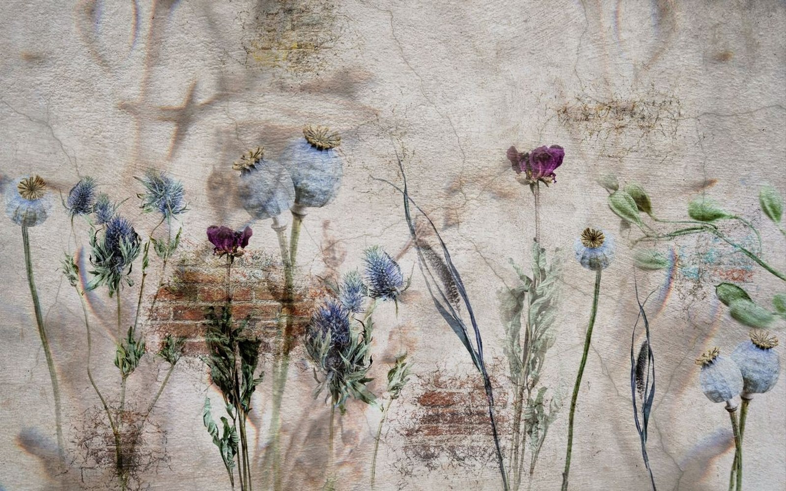 Wall with flowers and a brick wall