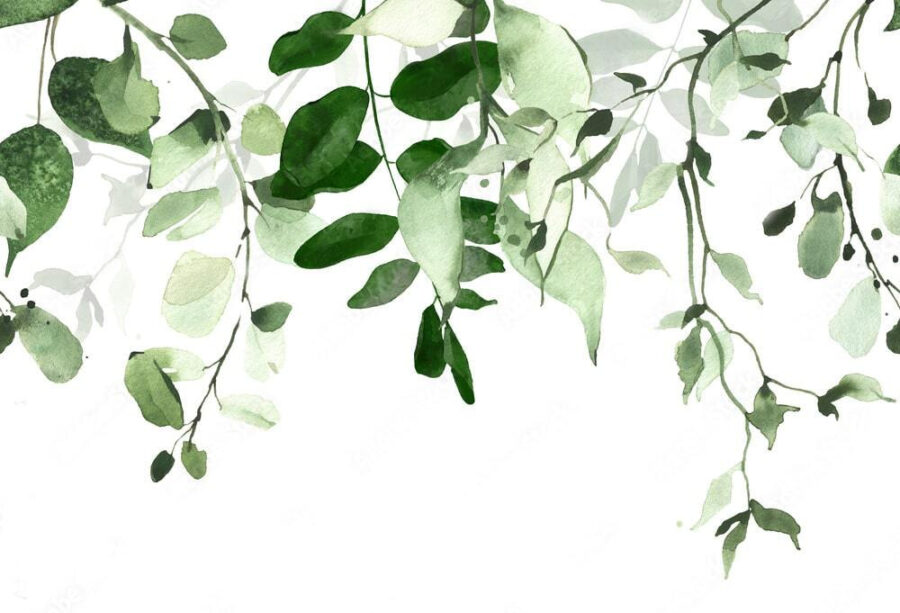 Elegant achtergrondontwerp met groene bladeren. Elegant achtergrondontwerp met groene bladeren.