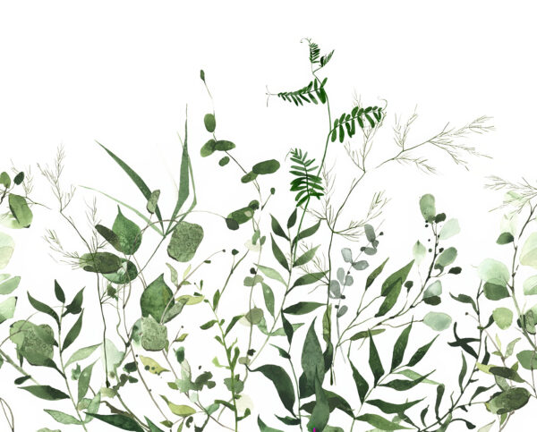 Weelderig groen op een witte achtergrond. Weelderig groen op een witte achtergrond.
