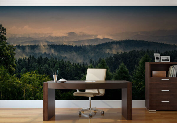 Forest with fog and clouds Forest with fog and clouds