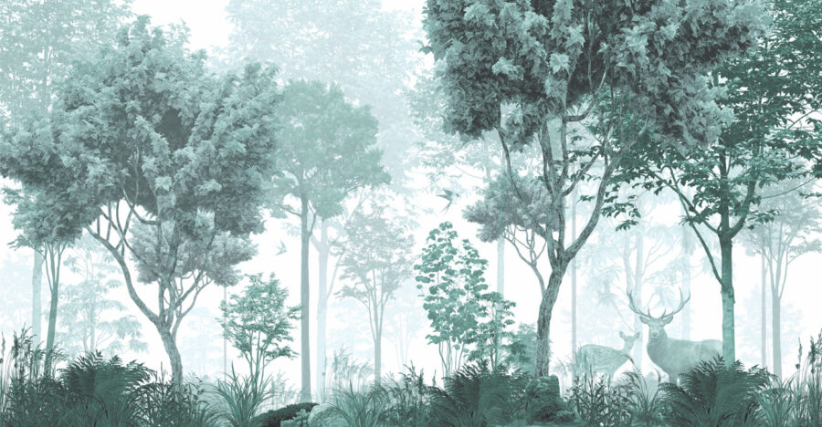 Een bos met bomen en planten
