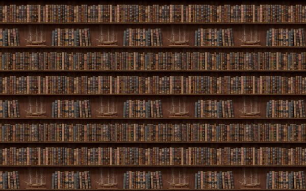 Muur van boeken met boten erop u72118p 600x375 - Muur van boeken met boten erop - tegory