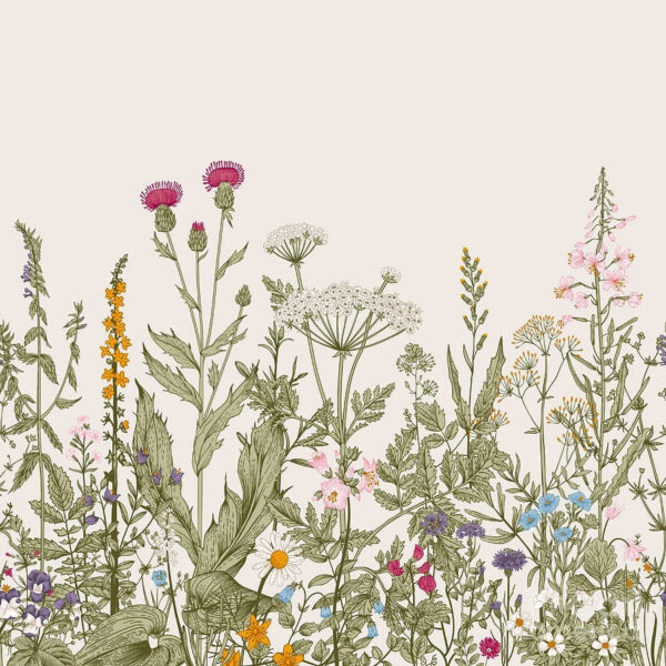 Rij bloemen en planten Rij bloemen en planten