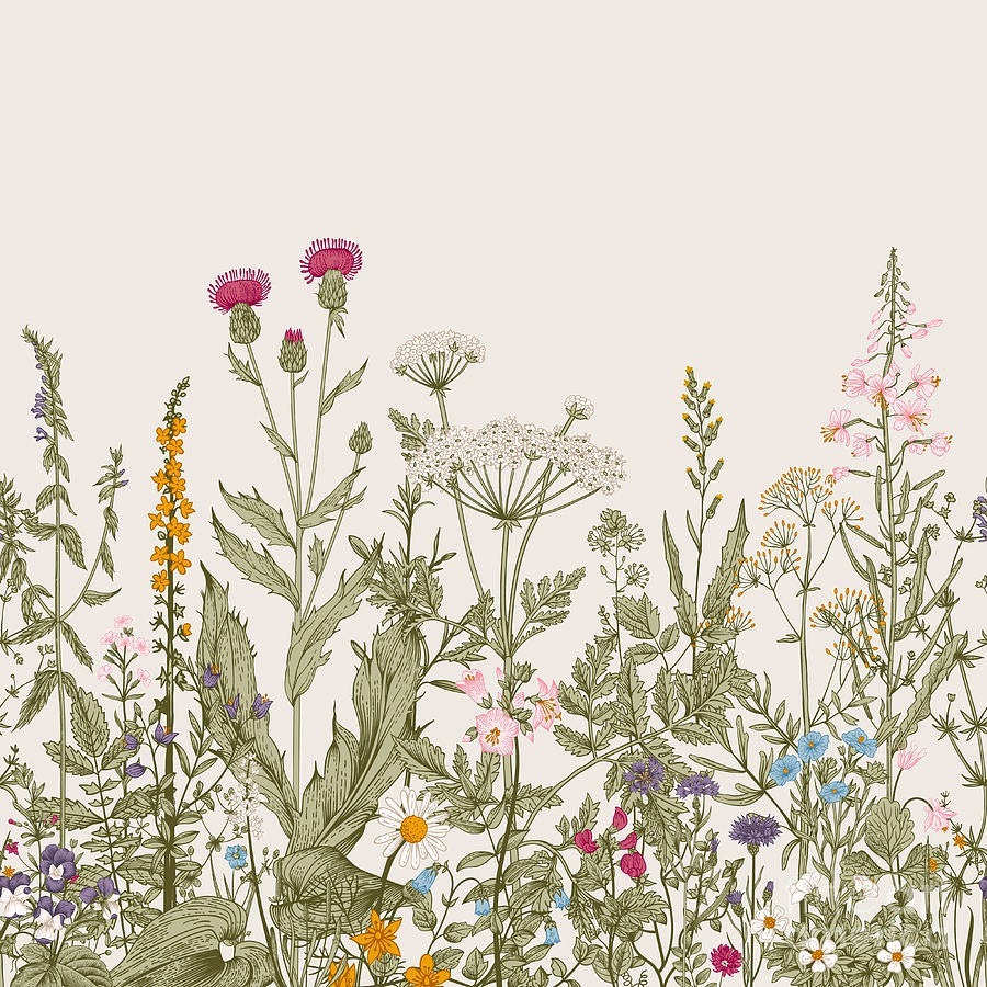 Rij bloemen en planten Rij bloemen en planten