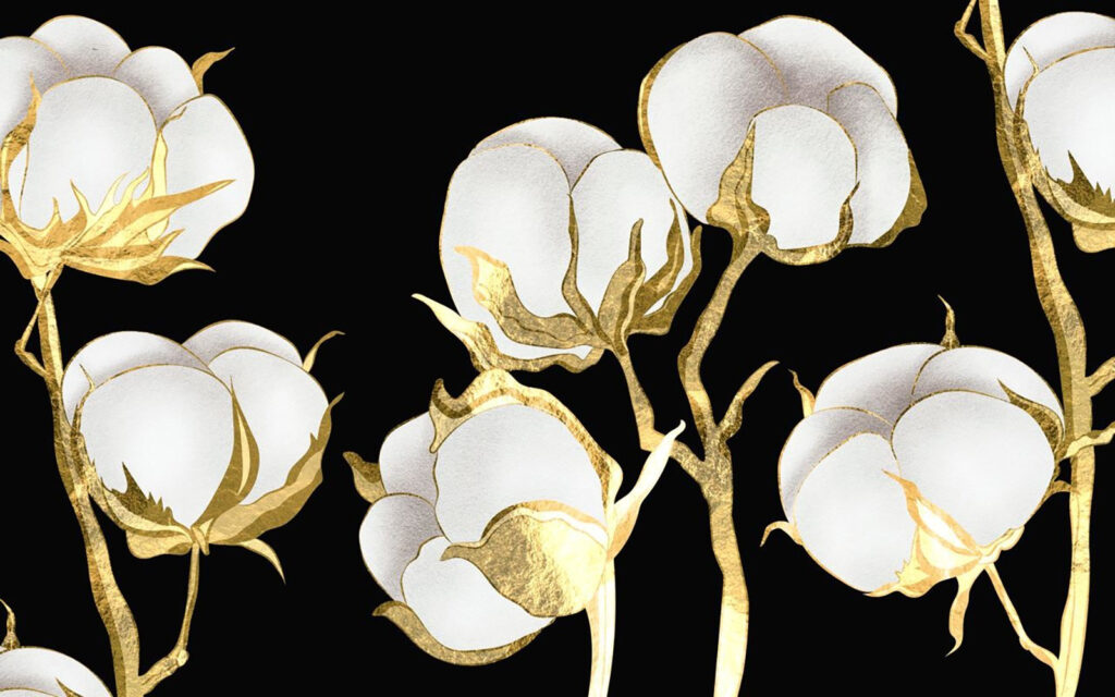 Katoenen bloemen op een donkere achtergrond Katoenen bloemen op een donkere achtergrond