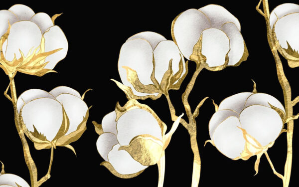 Katoenen bloemen op een donkere achtergrond Katoenen bloemen op een donkere achtergrond