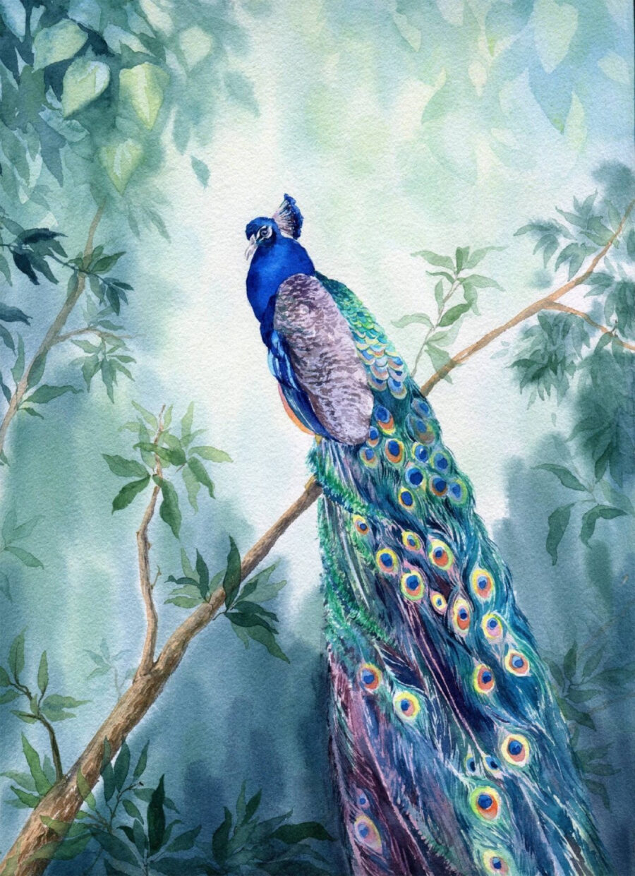 Aquarel van een pauw op een tak