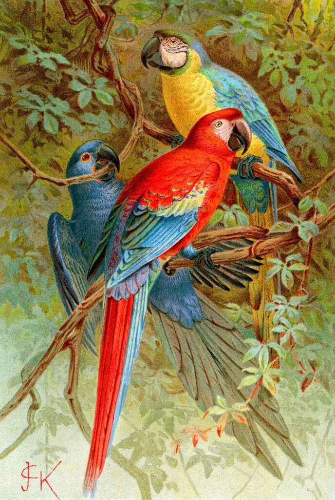 Groep kleurrijke vogels op een boomtak Groep kleurrijke vogels op een boomtak