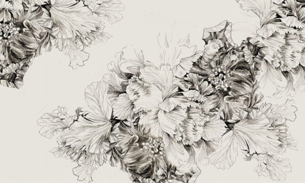 Tekening van bloemen op een witte achtergrond Tekening van bloemen op een witte achtergrond