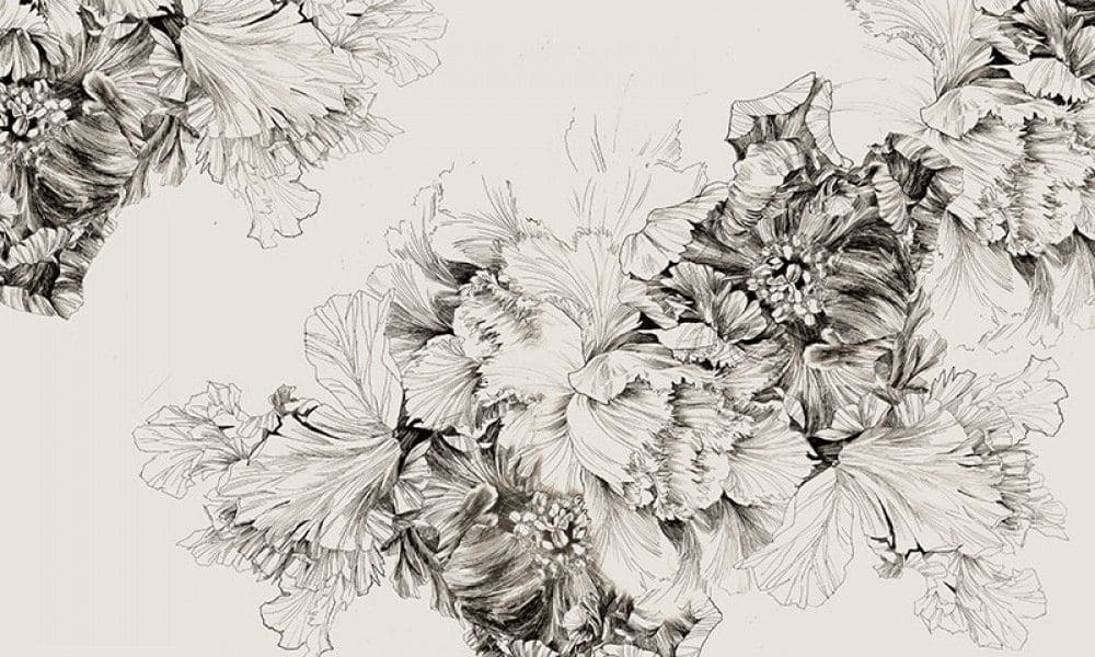 Tekening van bloemen op een witte achtergrond Tekening van bloemen op een witte achtergrond