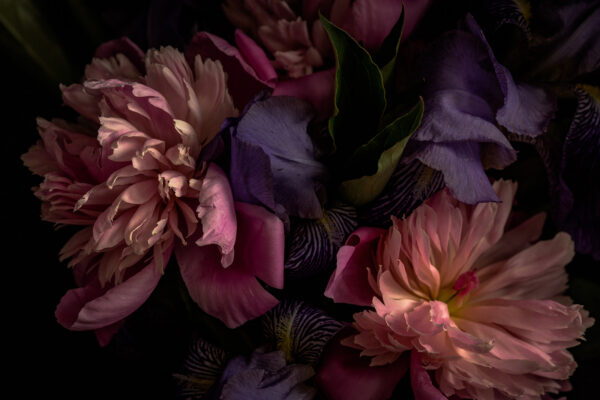 Delicate bloemblaadjes in zachte kleuren u71468p 600x400 - Delicate bloemblaadjes in zachte kleuren - tegory