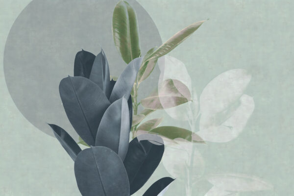 Elegant leaves on a pastel backdrop