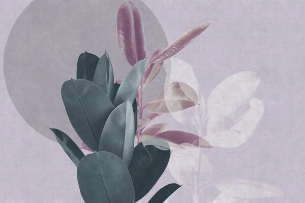 Tranquil layers of botanical beauty