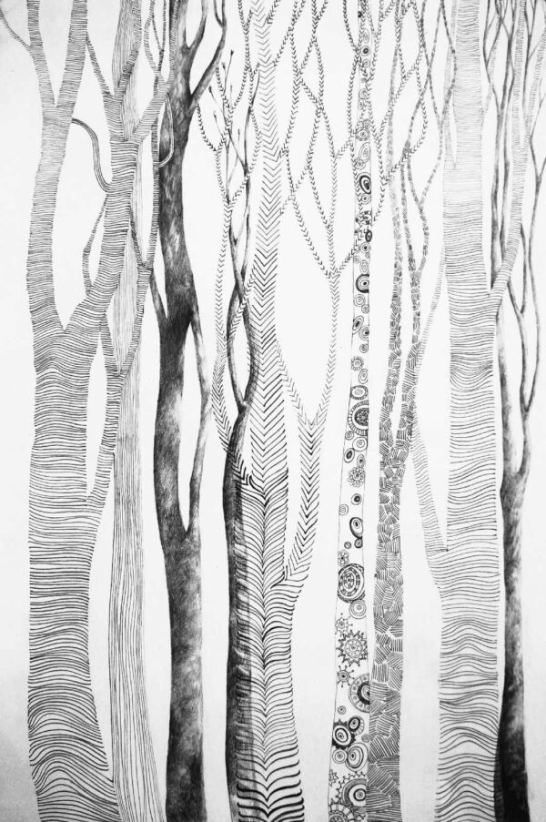 Tekening van bomen met lijnen erop Tekening van bomen met lijnen erop