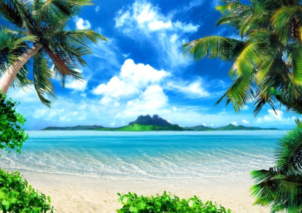 Strand met palmbomen en blauw water Strand met palmbomen en blauw water
