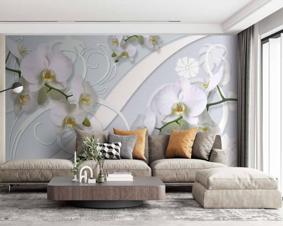 Prachtige orchideeën op een zachte achtergrond