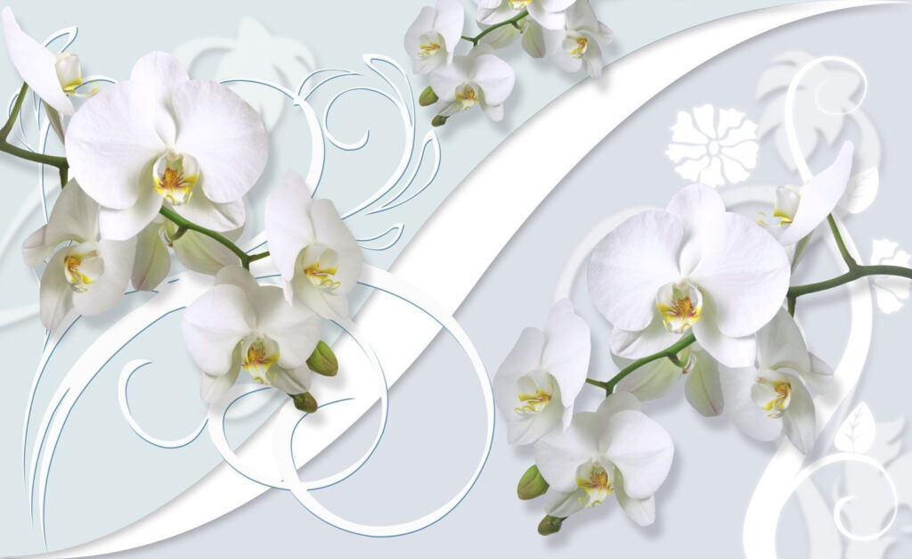 Prachtige orchideeën op een zachte achtergrond Prachtige orchideeën op een zachte achtergrond
