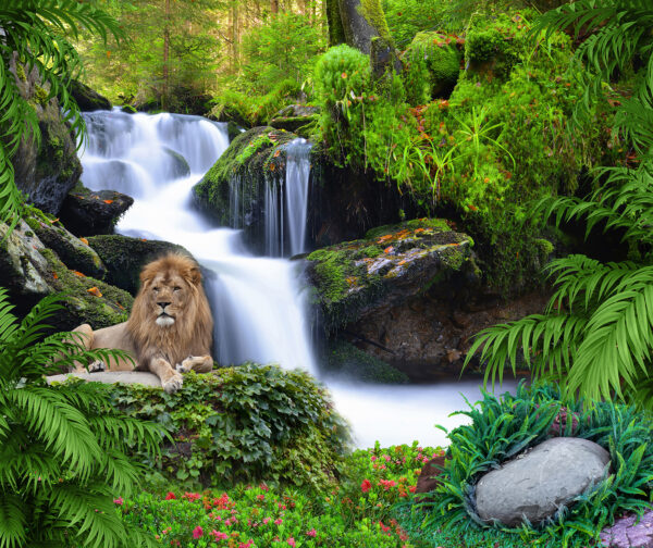 Leeuw liggend op een rots naast een waterval Leeuw liggend op een rots naast een waterval
