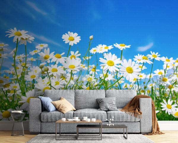 Veld met witte en gele bloemen Veld met witte en gele bloemen