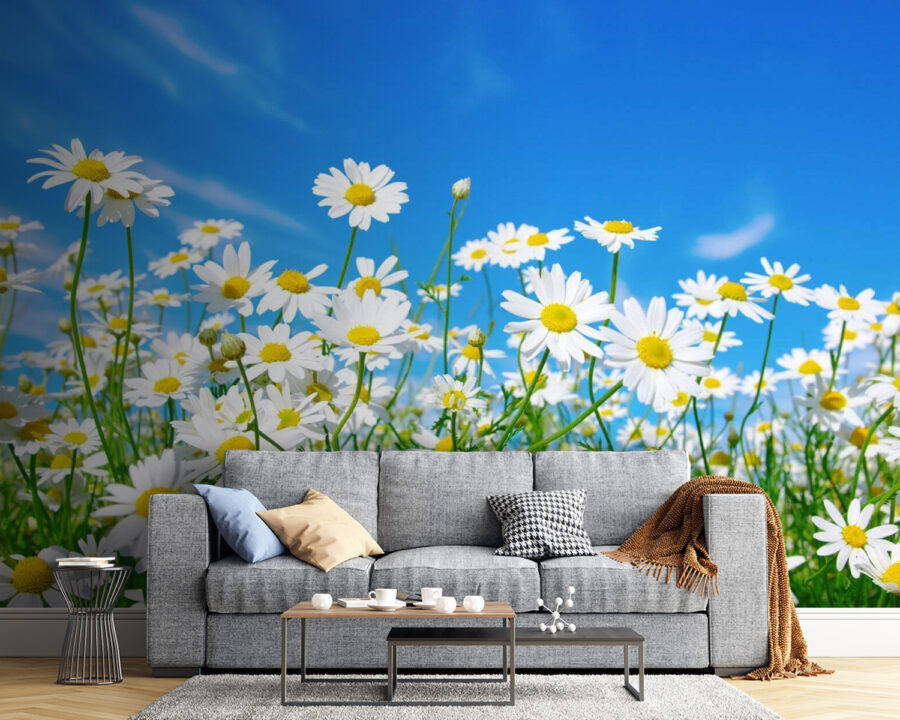Veld met witte en gele bloemen